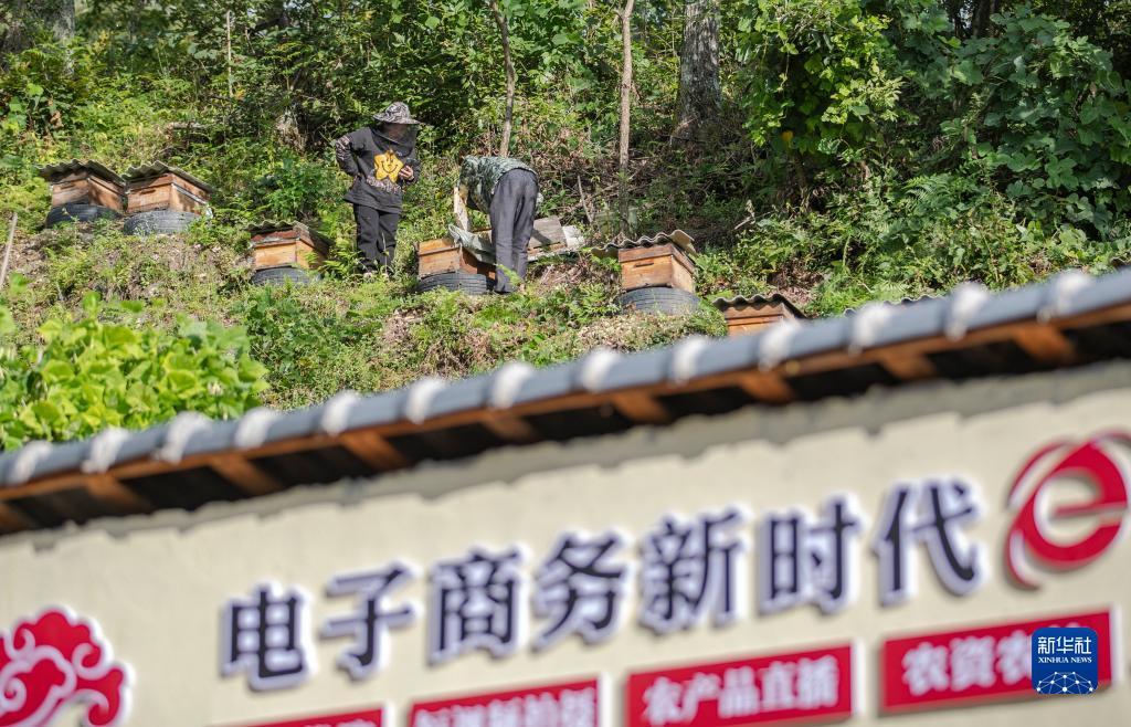 五龙争霸下载